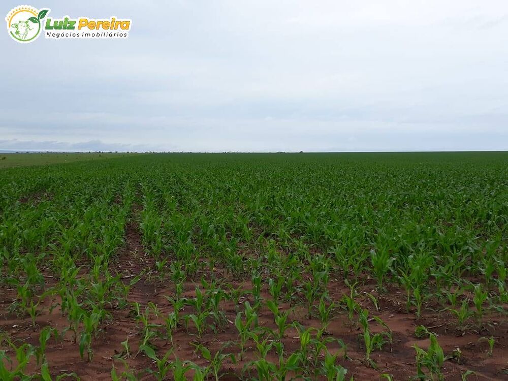Terreno à venda, 11800000m² - Foto 5