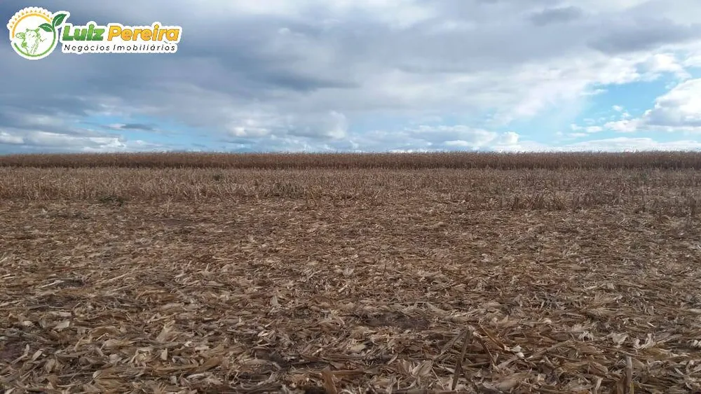 Terreno, 1180 hectares - Foto 3