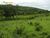 Terreno, 1665 hectares - Foto 3