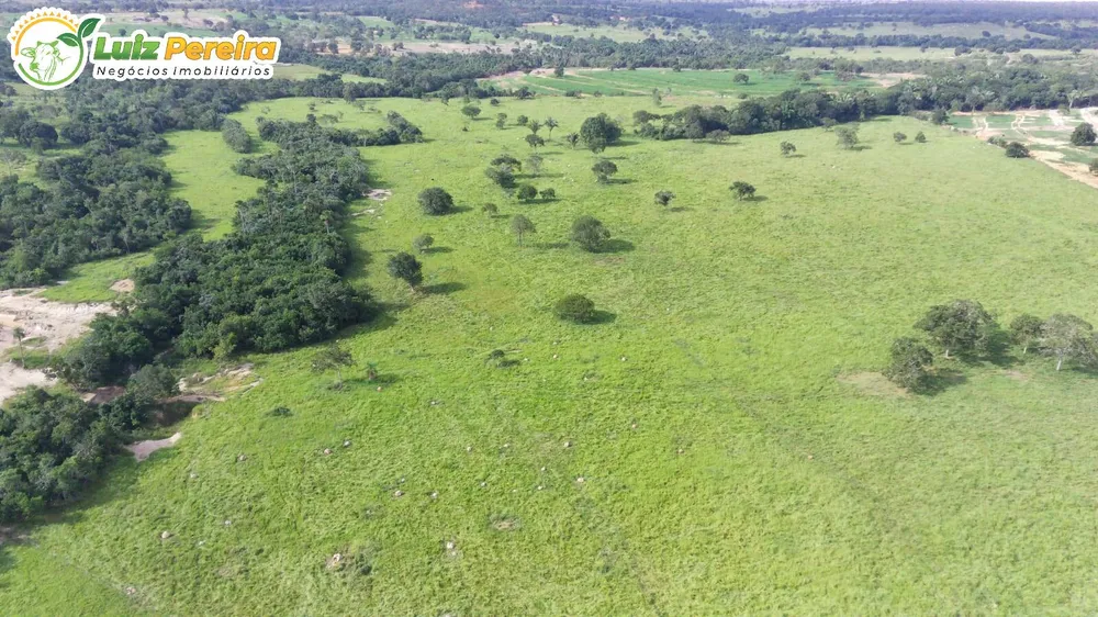 Terreno, 120 hectares - Foto 2