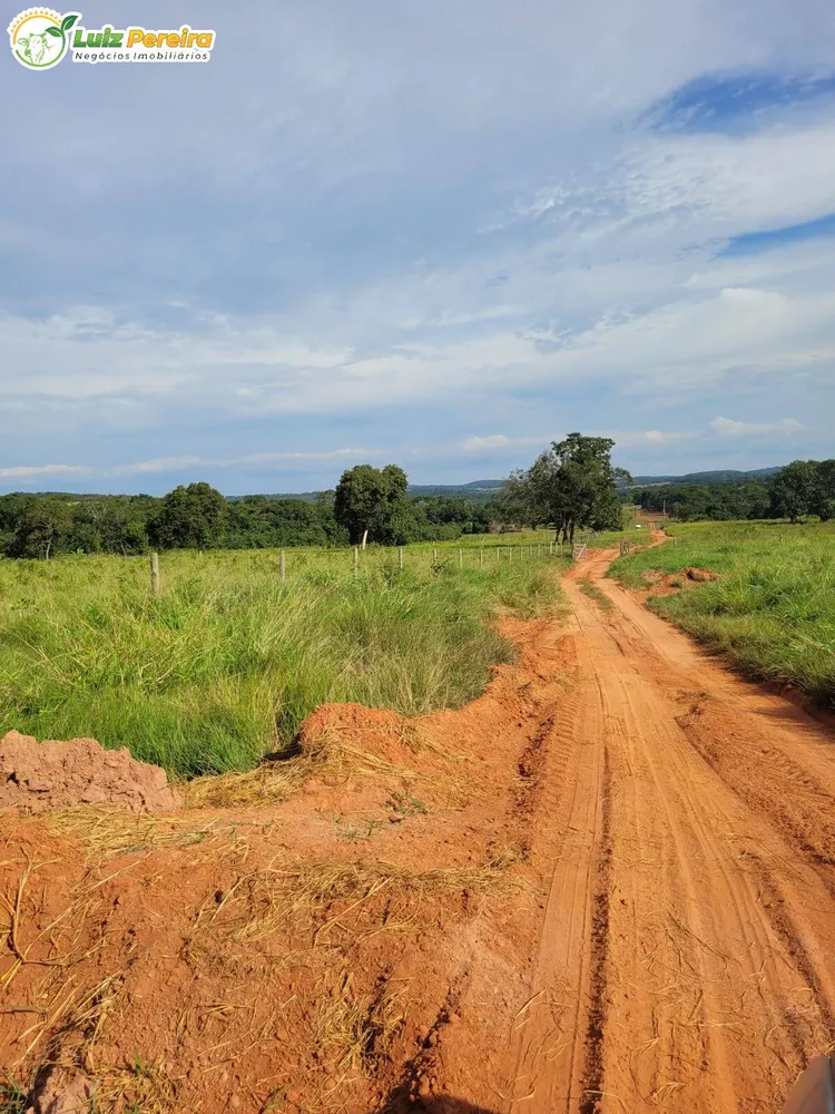 Terreno, 120 hectares - Foto 11