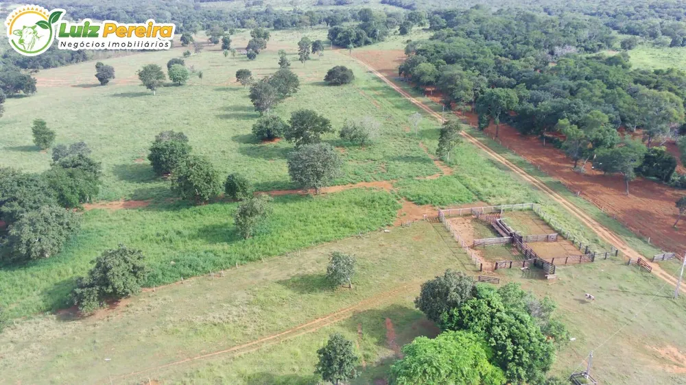 Terreno, 120 hectares - Foto 3