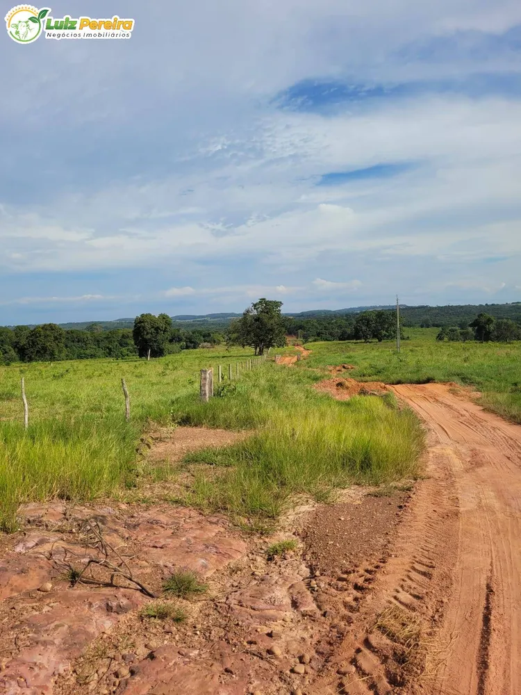 Terreno, 120 hectares - Foto 9