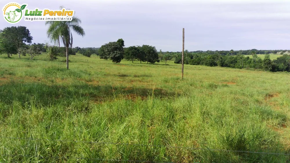 Terreno, 120 hectares - Foto 4