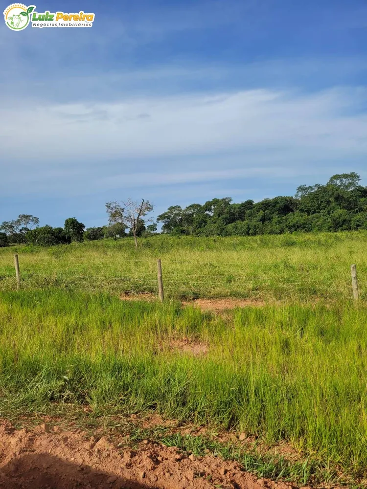 Terreno, 120 hectares - Foto 6