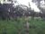 Terreno, 363 hectares - Foto 1