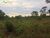 Terreno, 363 hectares - Foto 4