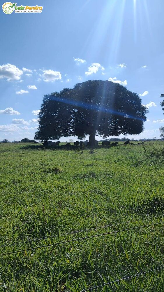 Terreno, 133 m² - Foto 3