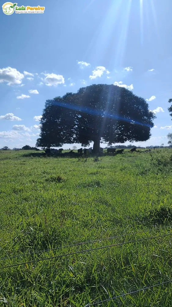 Terreno, 133 m² - Foto 6