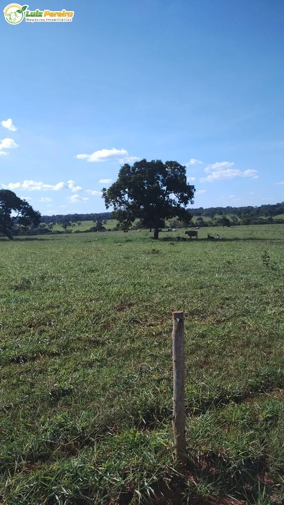Terreno, 133 m² - Foto 16