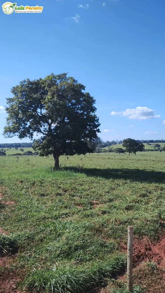 Terreno, 133 m² - Foto 11