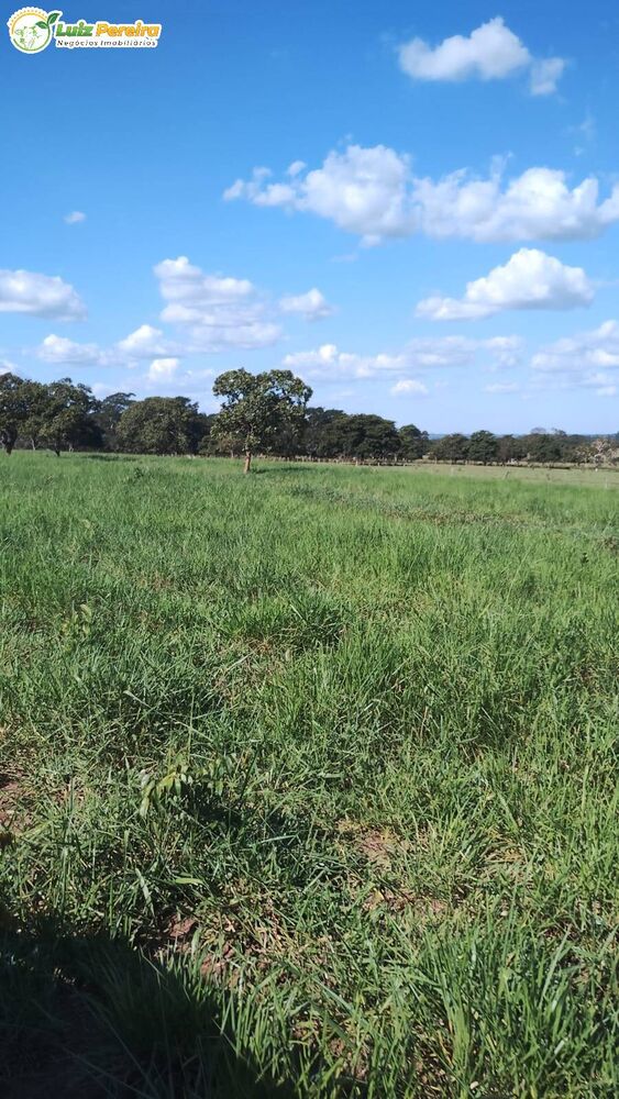 Terreno, 133 m² - Foto 1