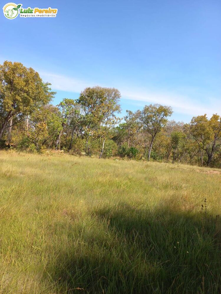 Terreno, 871 hectares - Foto 8