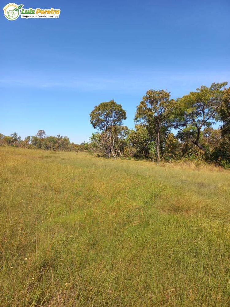 Terreno, 871 hectares - Foto 7