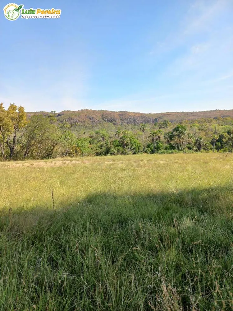 Terreno, 871 hectares - Foto 4