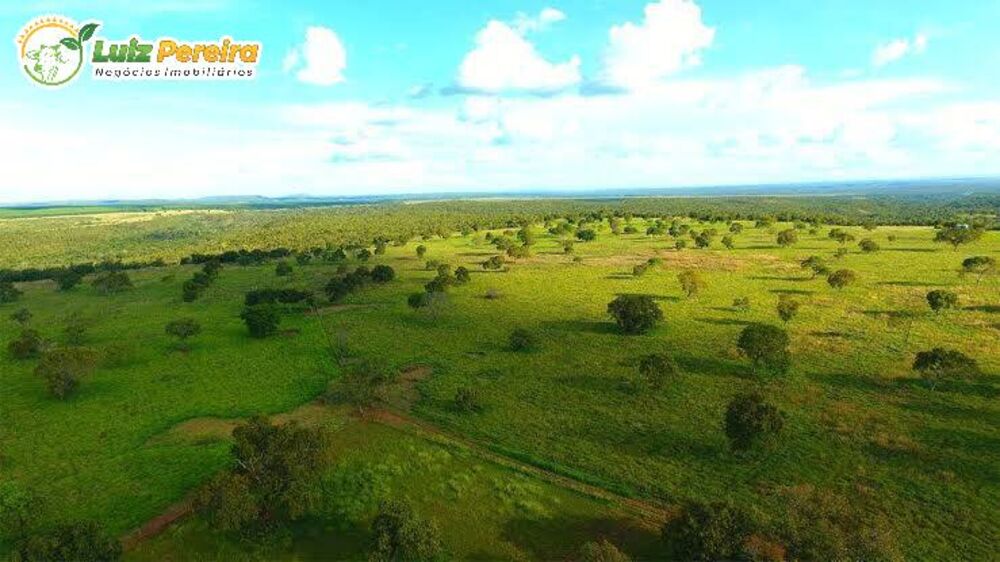 Terreno, 871 hectares - Foto 6