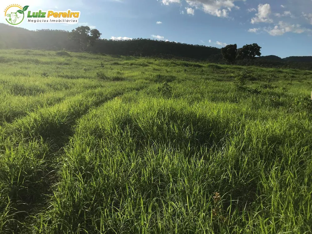 Terreno, 462 m² - Foto 13