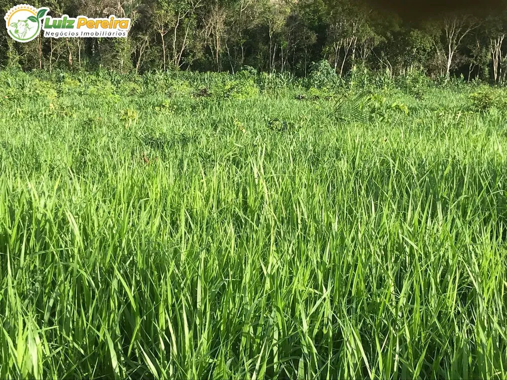Terreno, 462 m² - Foto 5