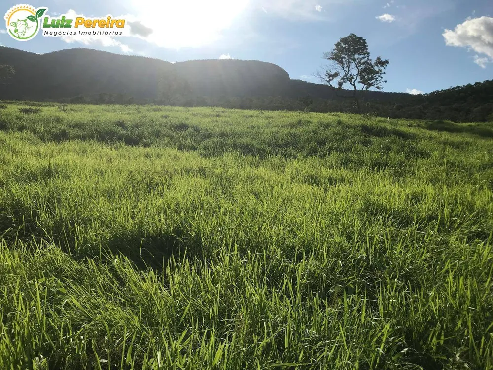 Terreno, 462 m² - Foto 6