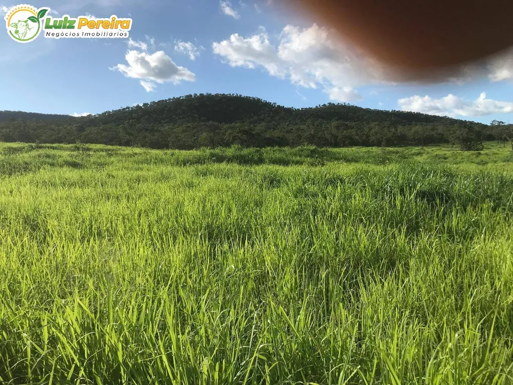 Terreno, 462 m² - Foto 3