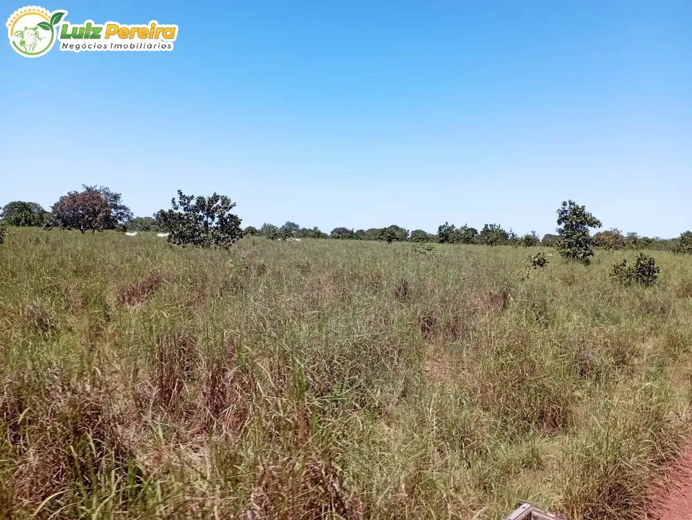 Terreno, 1597 hectares - Foto 15