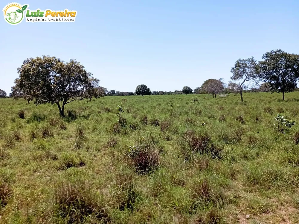 Terreno, 1597 hectares - Foto 1