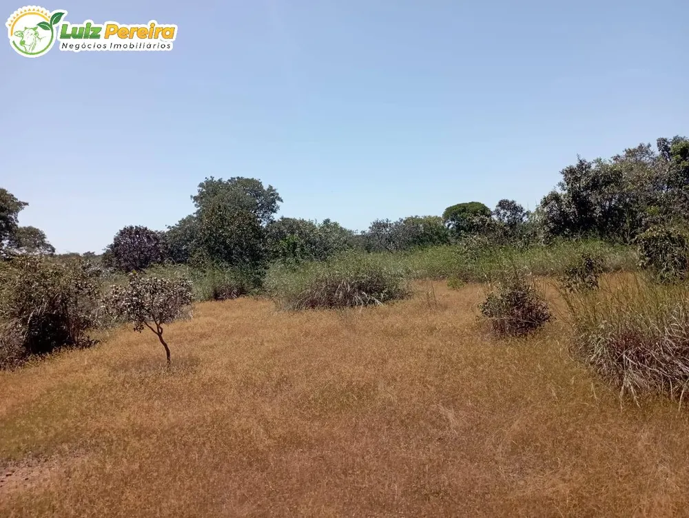 Terreno, 1597 hectares - Foto 13