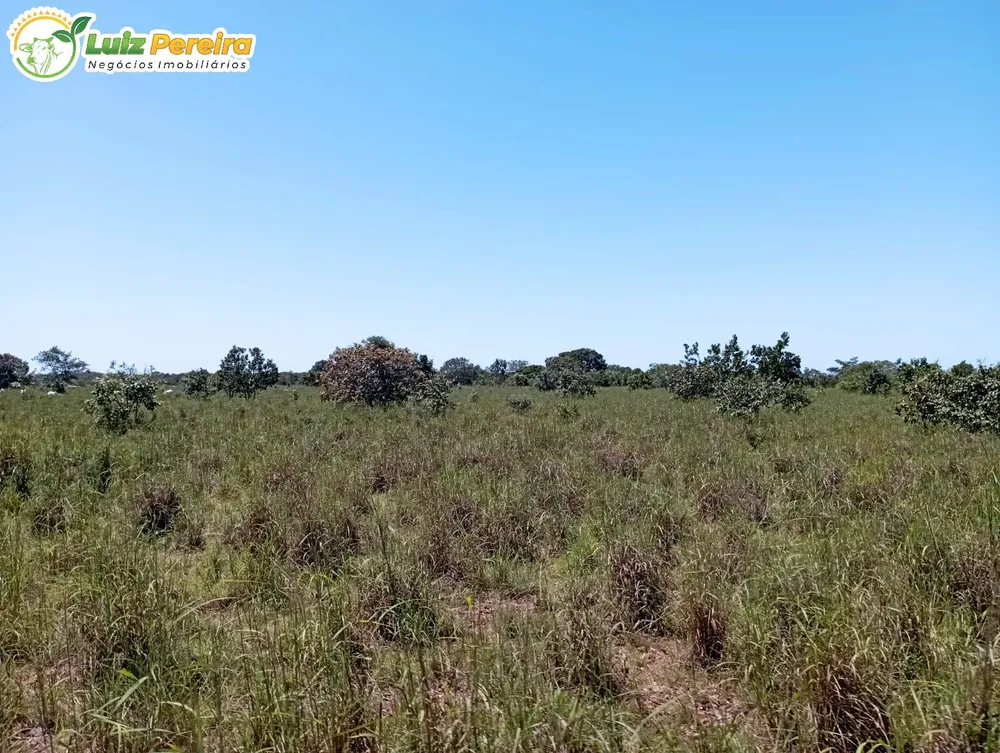 Terreno, 1597 hectares - Foto 4