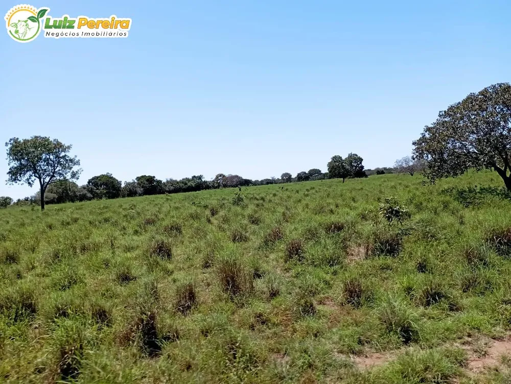 Terreno, 1597 hectares - Foto 2