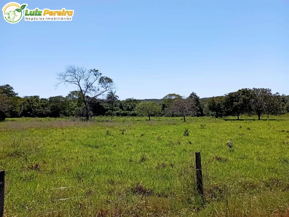 Terreno, 1597 hectares - Foto 1