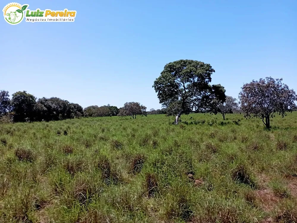 Terreno, 1597 hectares - Foto 11