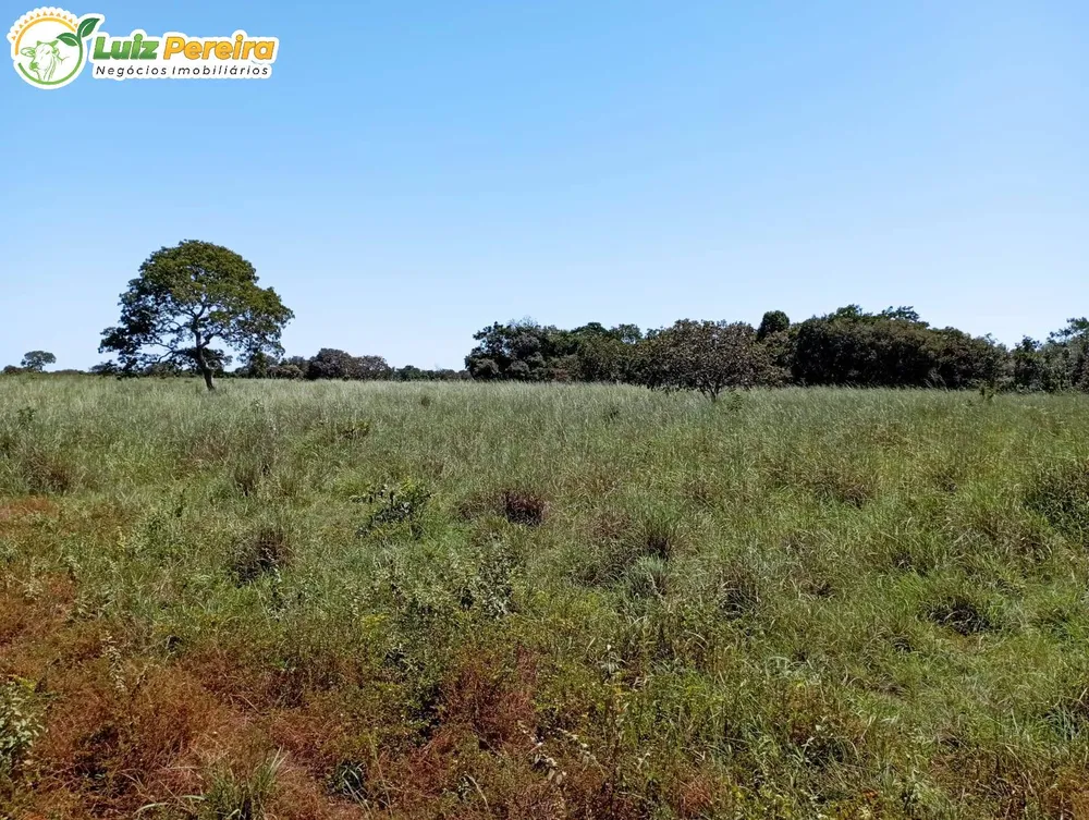 Terreno, 1597 hectares - Foto 3