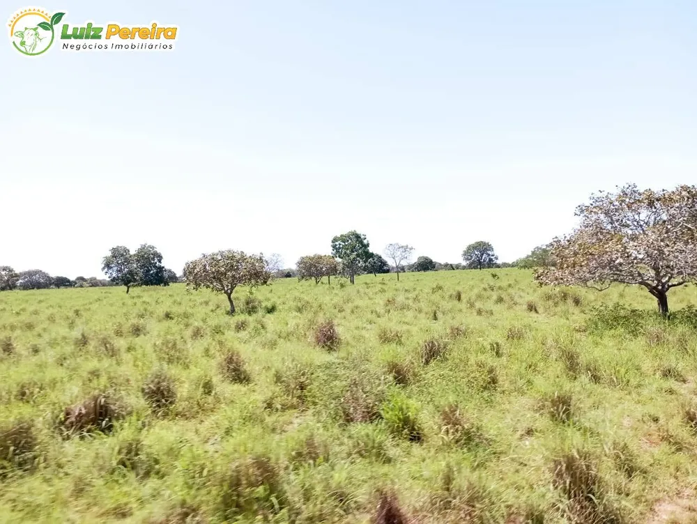 Terreno, 1597 hectares - Foto 7