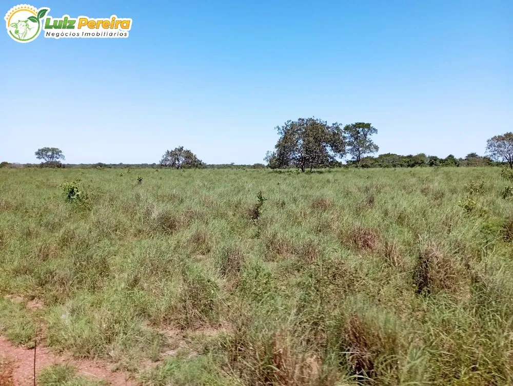 Terreno, 1597 hectares - Foto 7