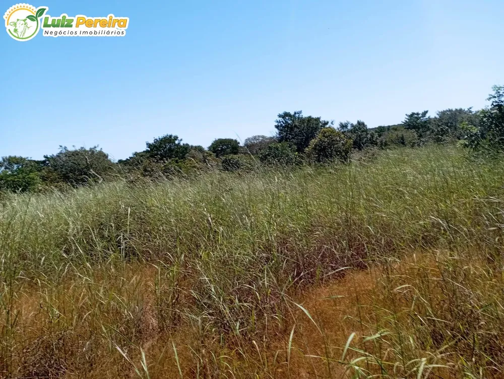 Terreno, 1597 hectares - Foto 2