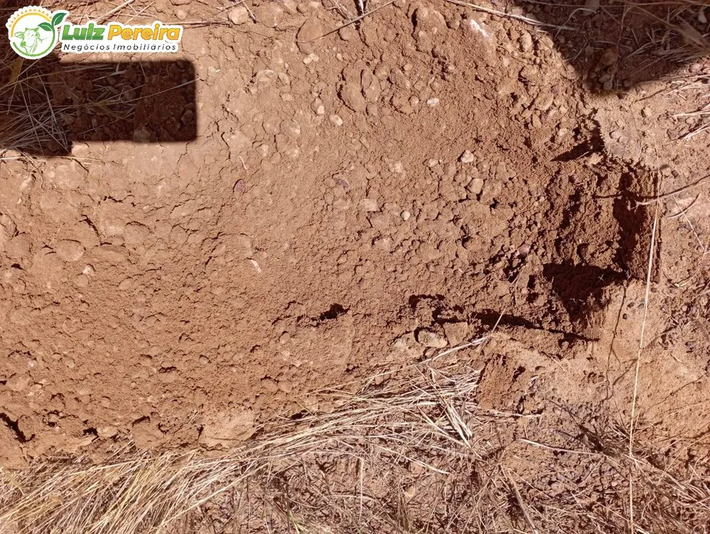 Terreno, 1597 hectares - Foto 14