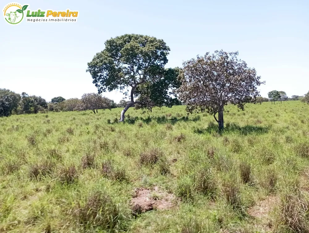 Terreno, 1597 hectares - Foto 4