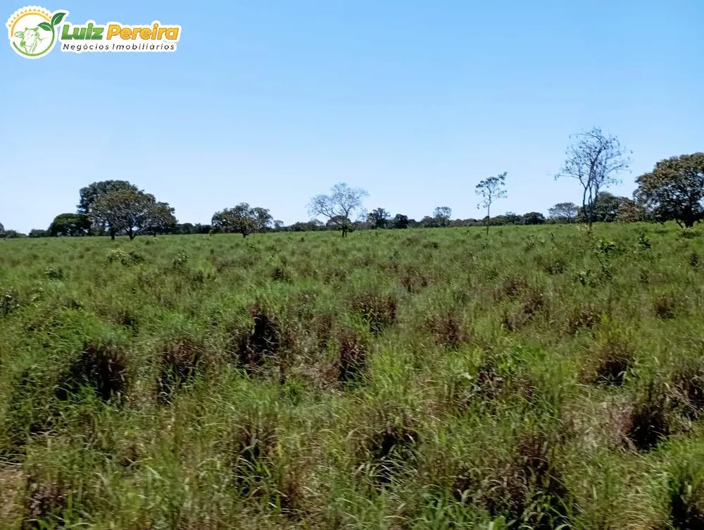 Terreno, 1597 hectares - Foto 6