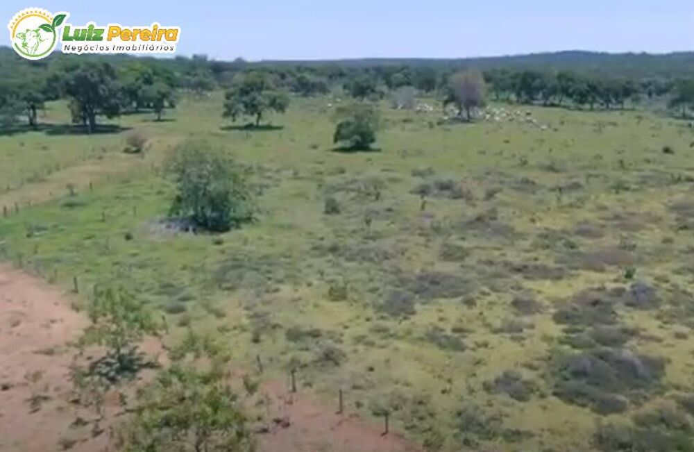 Terreno, 266 hectares - Foto 3