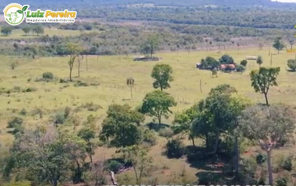 Terreno, 266 hectares - Foto 8