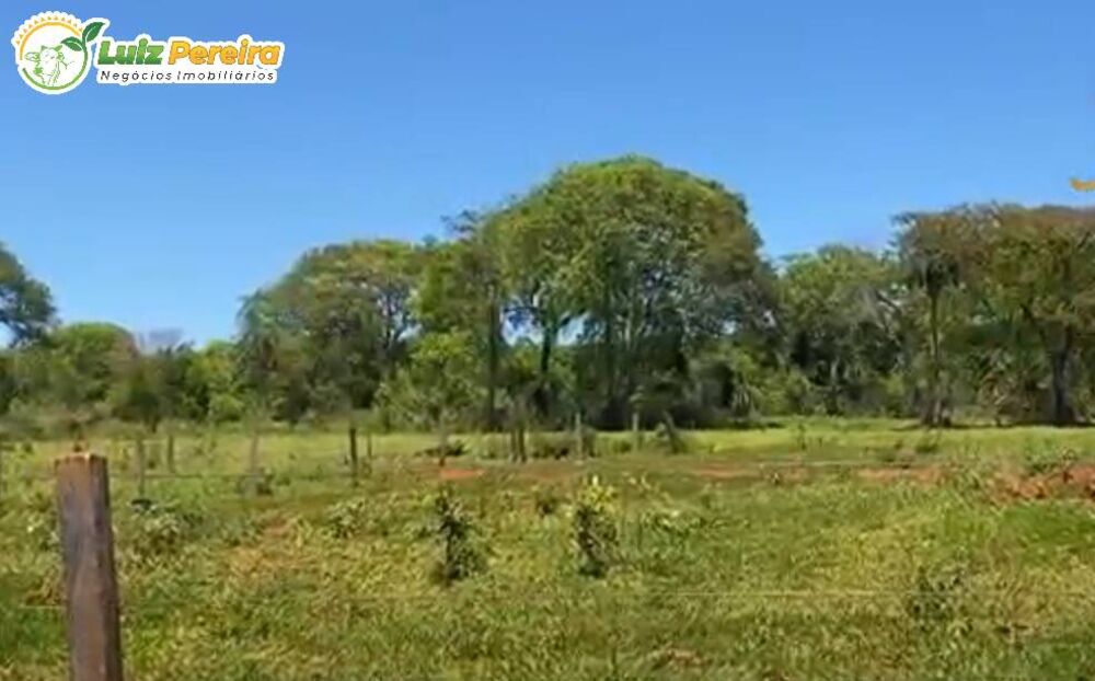 Terreno, 266 hectares - Foto 9