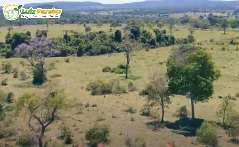 Terreno, 266 hectares - Foto 7