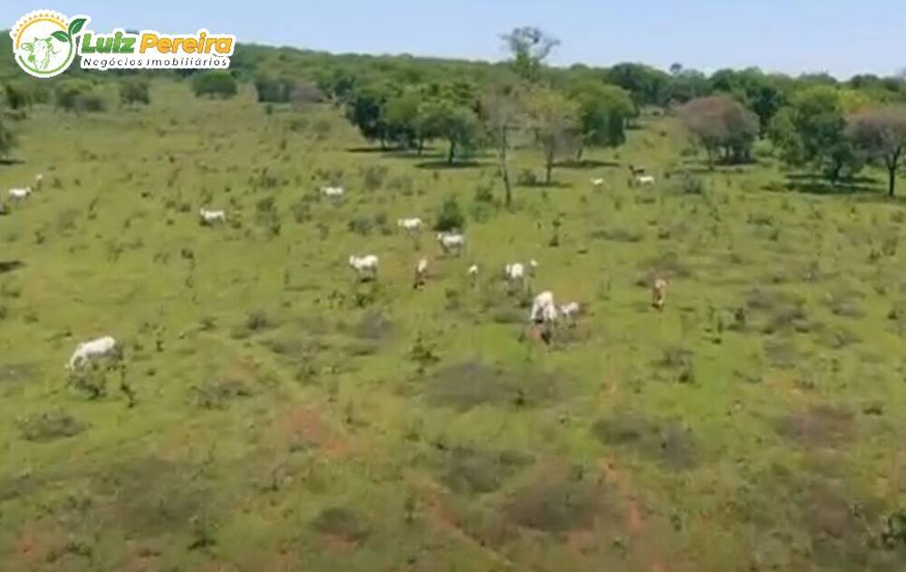 Terreno, 266 hectares - Foto 1