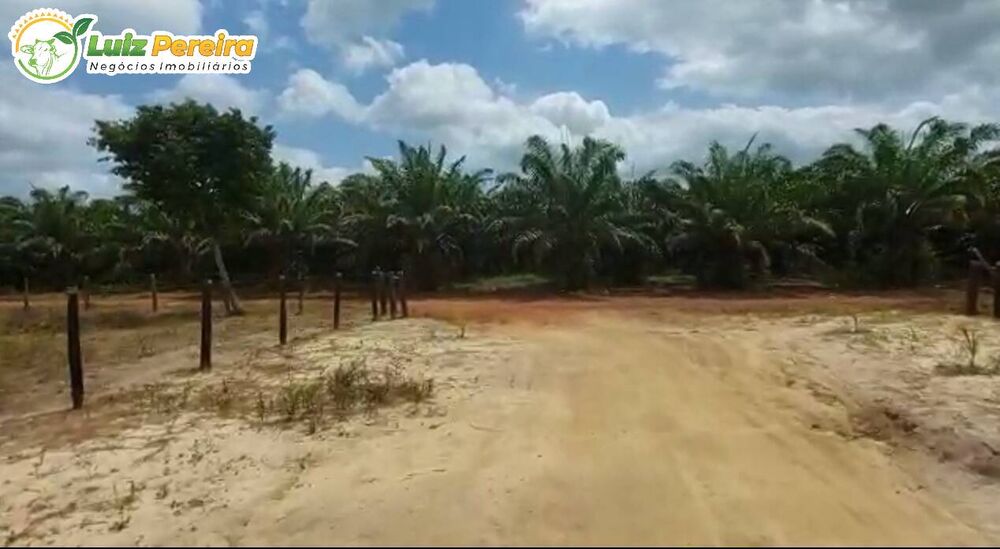 Terreno, 266 hectares - Foto 14