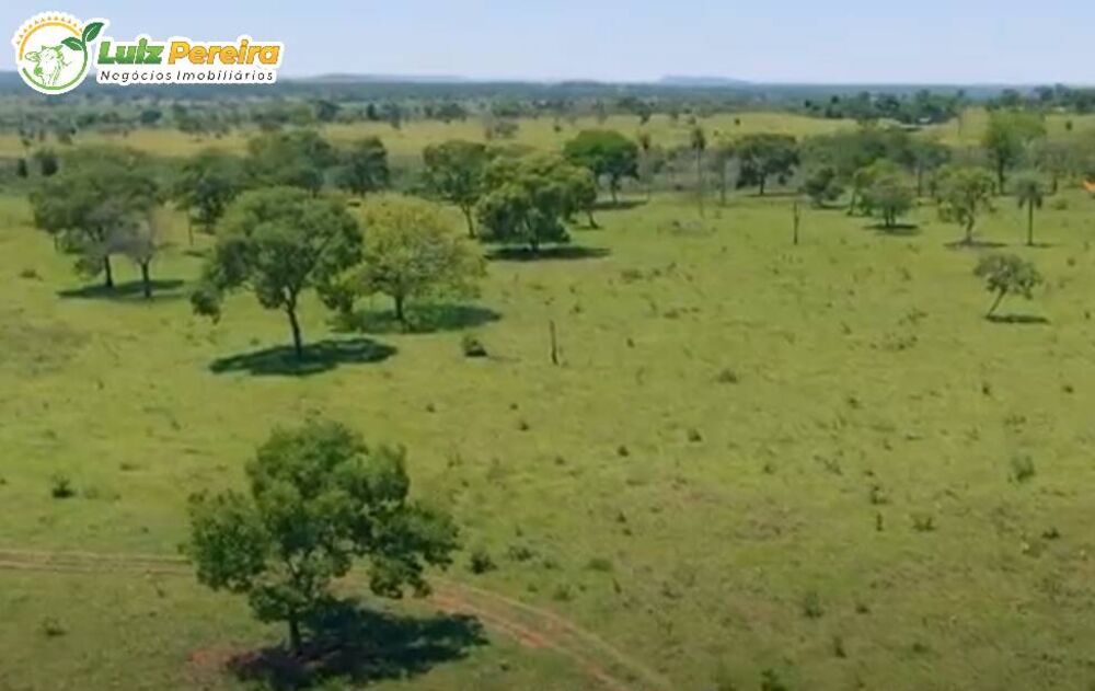 Terreno, 266 hectares - Foto 6