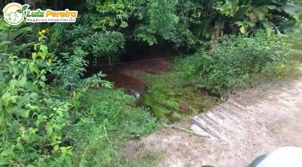 Terreno, 266 hectares - Foto 15