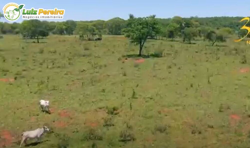 Terreno, 266 hectares - Foto 2