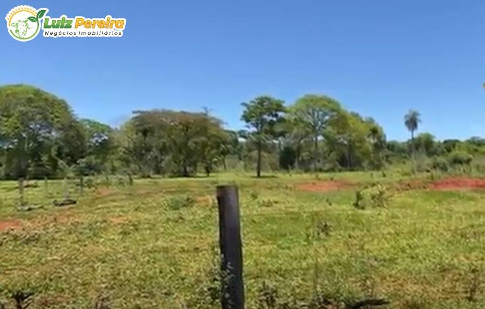 Terreno, 266 hectares - Foto 11