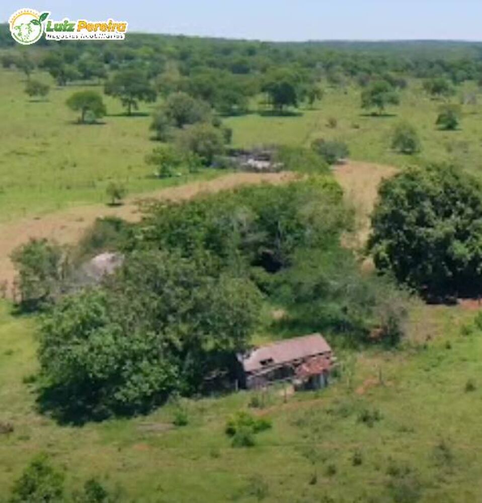 Terreno, 266 hectares - Foto 4