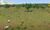 Terreno, 266 hectares - Foto 2